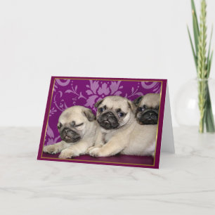 Mops Welpen Grußkarte Feiertagskarte
