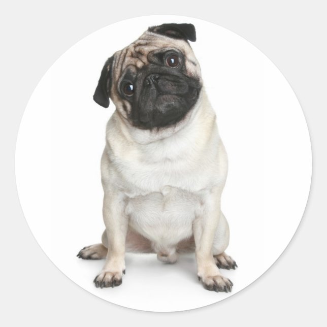 Mops Welpen Hund Grußkleber / Labels Runder Aufkleber (Vorderseite)