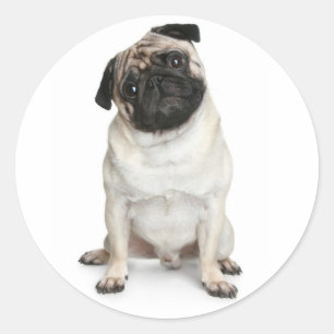 Mops Welpen Hund Grußkleber / Labels Runder Aufkleber