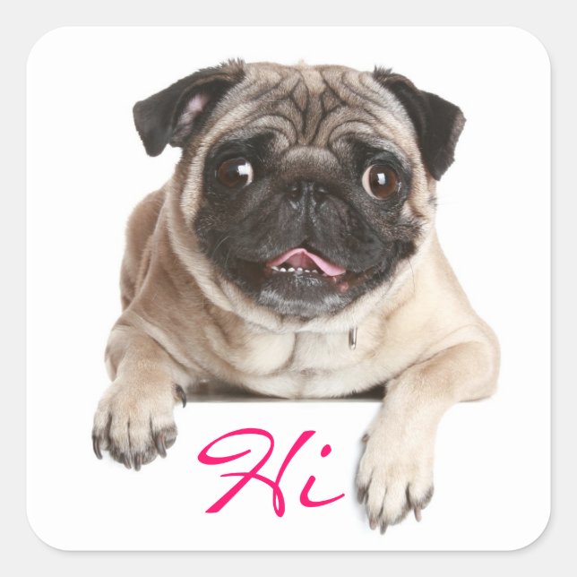 Mops Welpen Hund Hallo Gruß Sticker (Vorderseite)