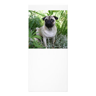 Mops Werbekarte