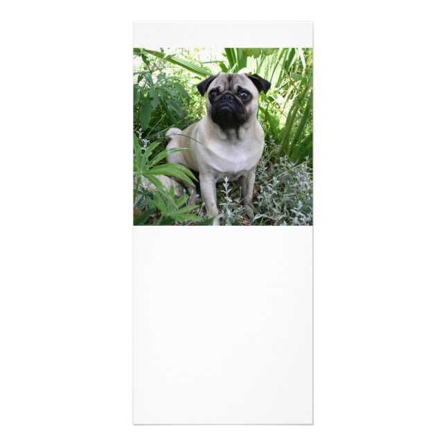 Mops Werbekarte (Vorne)