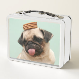 Mops Will Leckereien Metall Brotdose