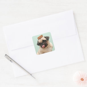 Mops Will Leckereien Quadratischer Aufkleber
