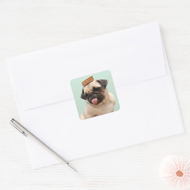 Mops Will Leckereien Quadratischer Aufkleber (Umschlag)