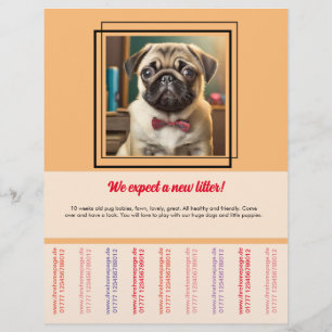 Mops zu verkaufen Flyer
