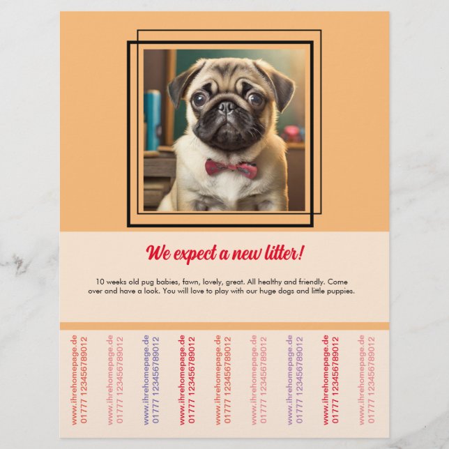 Mops zum Verkauf von Flyer (Vorne)