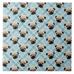 Möpse auf blauem kariertem fliese