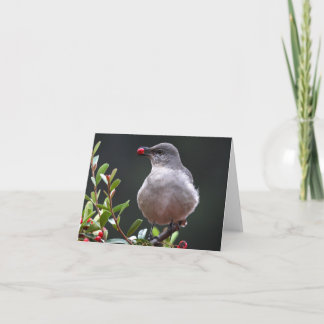 Moqueur du nord - Joe Sweeney - carte