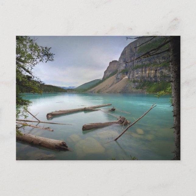 Moraine Lake Postkarte (Vorderseite)