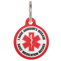 Morbus Addison Medizinischer Alarm Halsbandanhänge