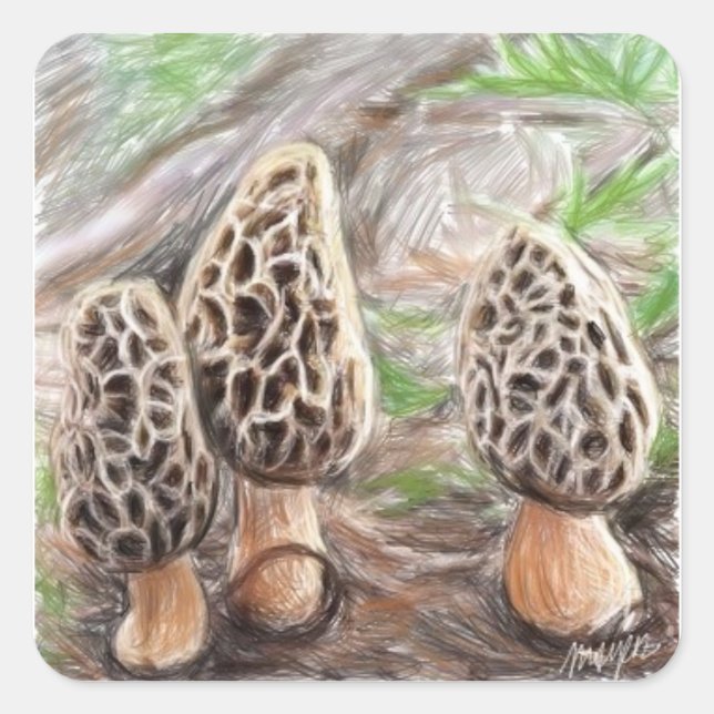 Morchel-Pilz-Aufkleber Quadratischer Aufkleber (Vorderseite)