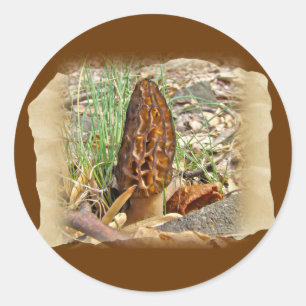 Morchel-Pilz Runder Aufkleber