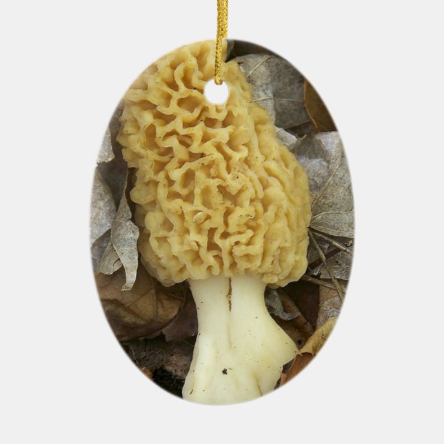 Morchel-Pilz-Verzierung Keramik Ornament (Vorne)