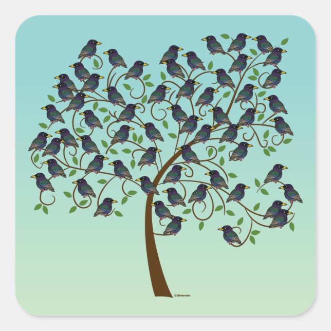 Morden an Starlings Quadratischer Aufkleber (Vorderseite)