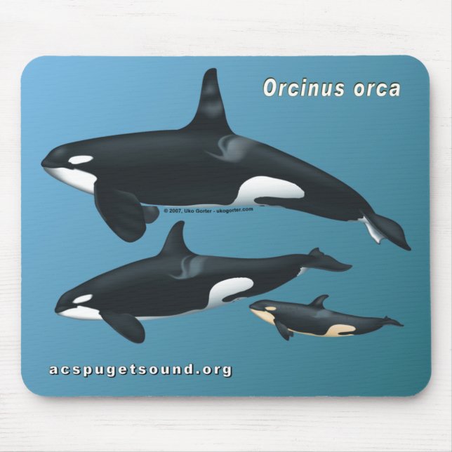 Mörder-Wal-Familie Mousepad auf aquamarinem (Vorne)