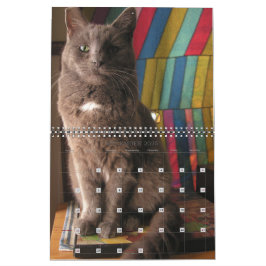 Mordi, Basil & Friends Cat Calendar 2025 Kalender