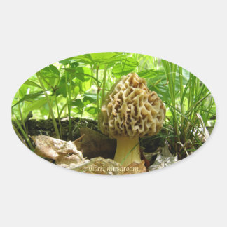 Morel Mushroom - Aufkleber "im Verborgenen"