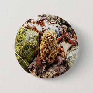 Morel Mushroom in der Wildnis Button