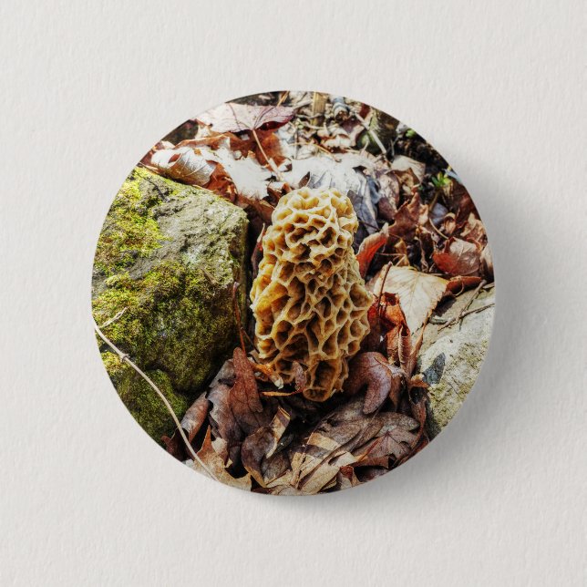 Morel Mushroom in der Wildnis Button (Vorderseite)