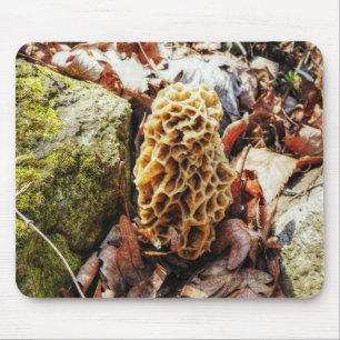 Morel Mushroom in der Wildnis Mousepad