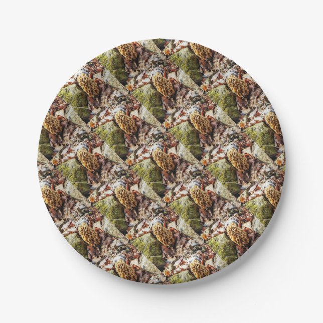 Morel Mushroom in der Wildnis Pappteller (Vorderseite)