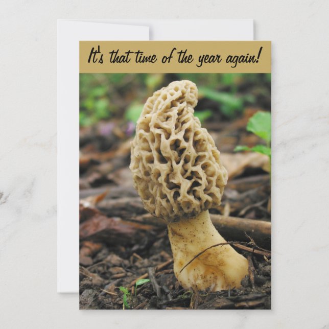 Morel Mushroom Jagd Einladung (Vorderseite)