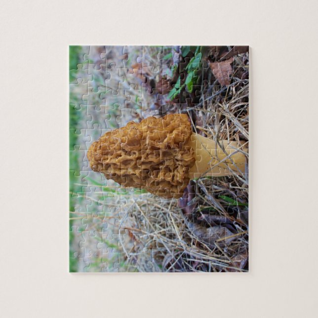 MOREL MUSHROOM Puzzle (Vertikal)