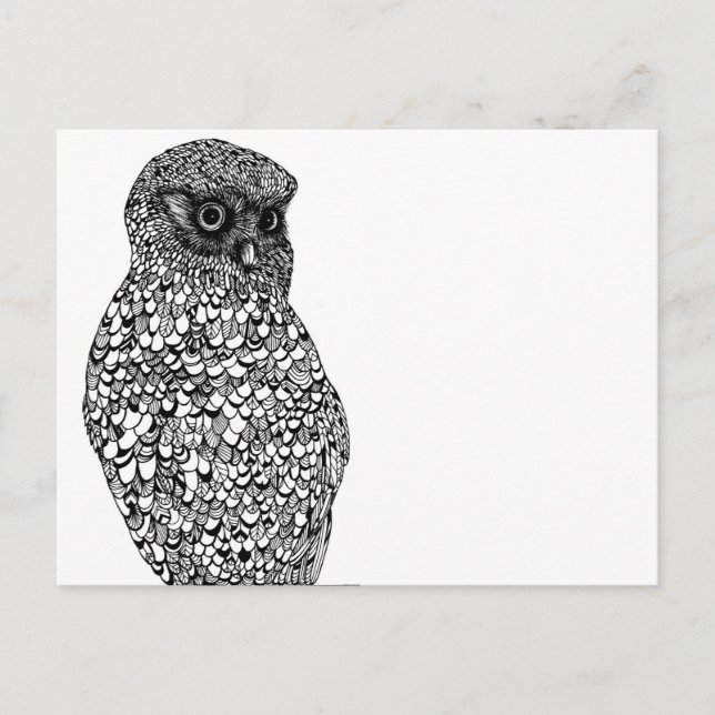 Morepork Postcard Postkarte (Vorderseite)