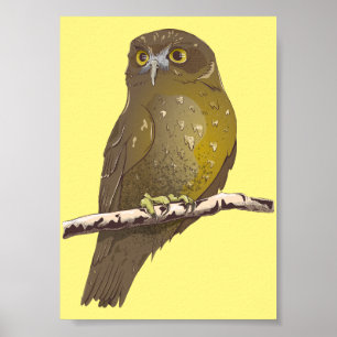 Morepork RURU NZ bird Poster
