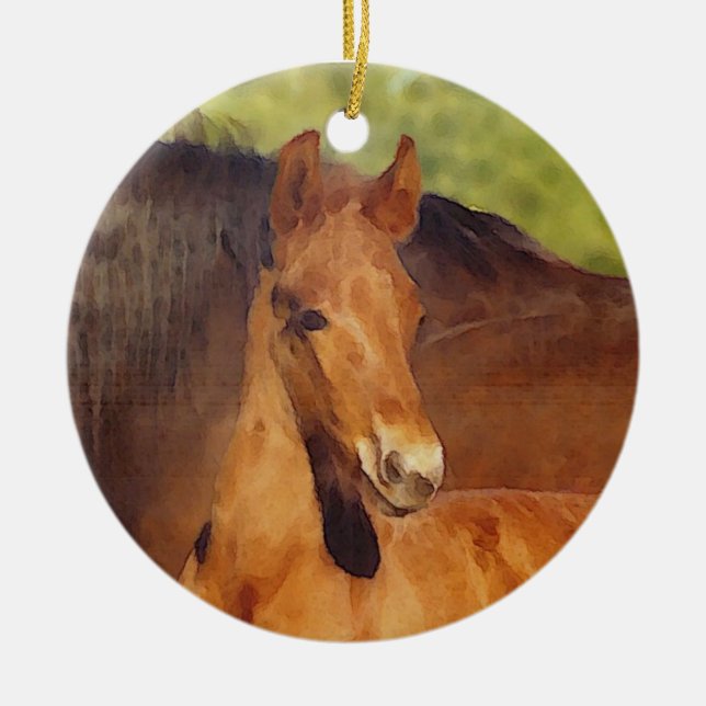 Morgan Foal Ornament (Vorne)