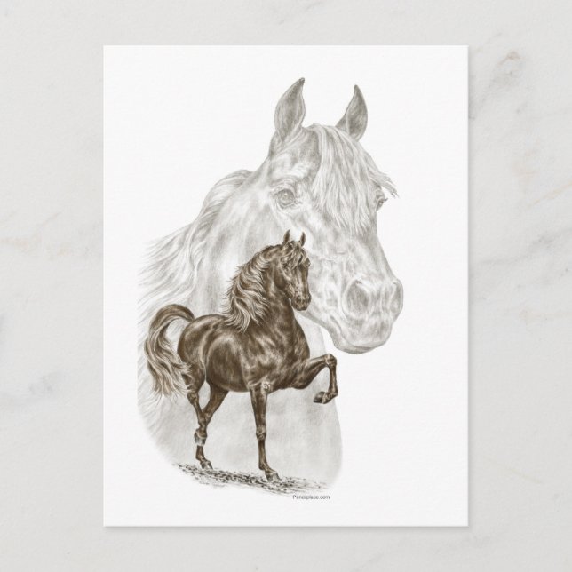 Morgan Horse Art Postkarte (Vorderseite)