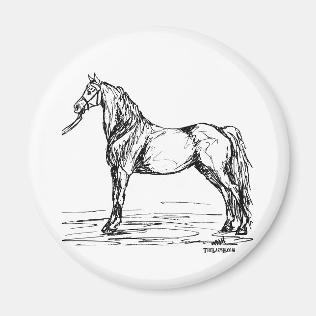 Morgan Horse Simple Sketch Magnet (Vorne)