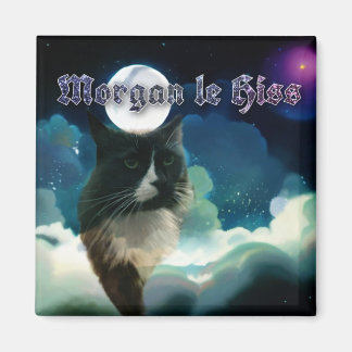 Morgan le Hiss Magnet