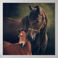 Morgan Mare et Foal par Lynn Peterson Poster