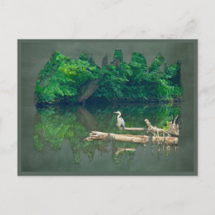 Morgen am Bach Postkarte