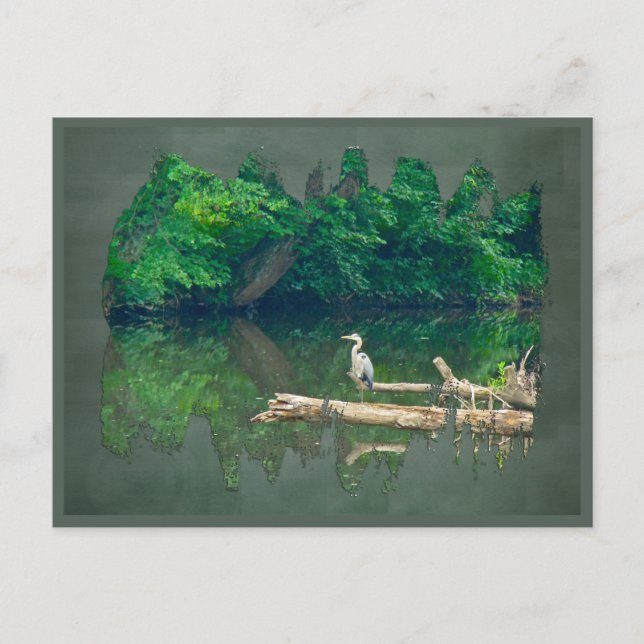 Morgen am Bach Postkarte (Vorderseite)