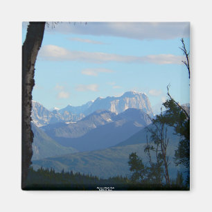 Morgen an der Zahn-dem Magneten des Elches Magnet