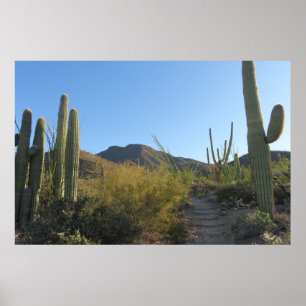 Morgen auf dem King Canyon Trail Poster