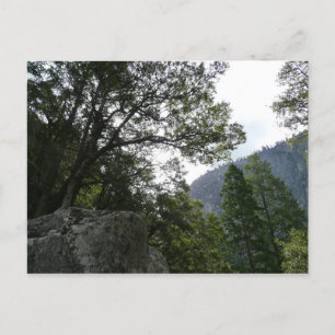 Morgen auf dem Weg zu den Vernal Falls im Yosemite Postkarte