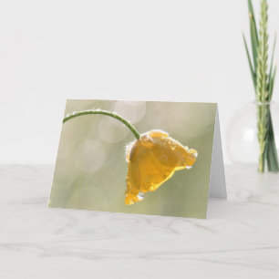 Morgen Buttercup Glückwunsch Geburtstagskarte Karte