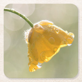 Morgen Buttercup Square Untersetzer