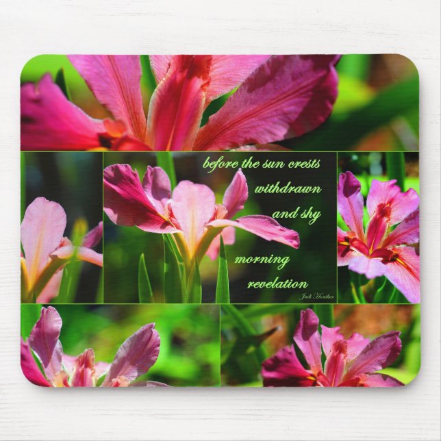 Morgen-Enthüllung Mousepad (Vorne)