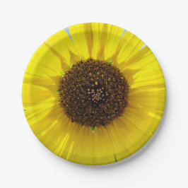 Morgen-Flamme Pappteller