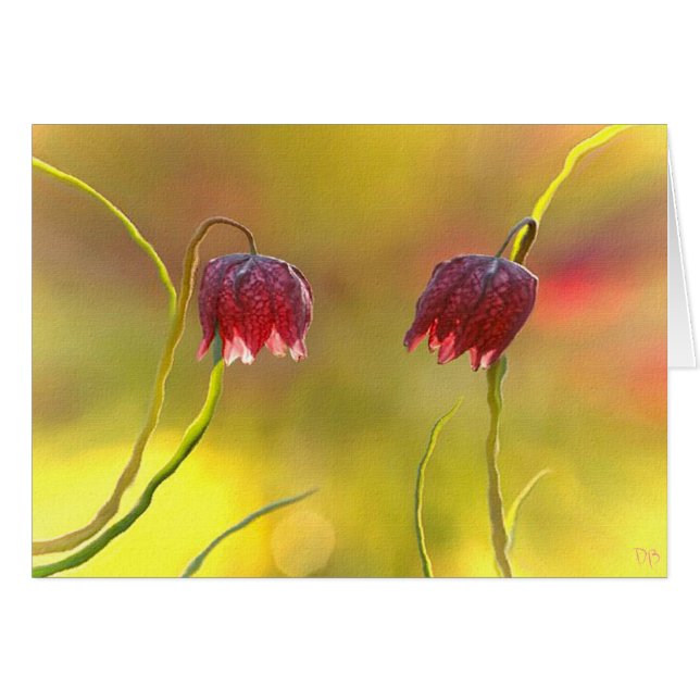 Morgen-Freude (Vorderseite (Horizontal))