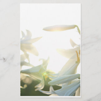 Morgen-Freude stationär Briefpapier