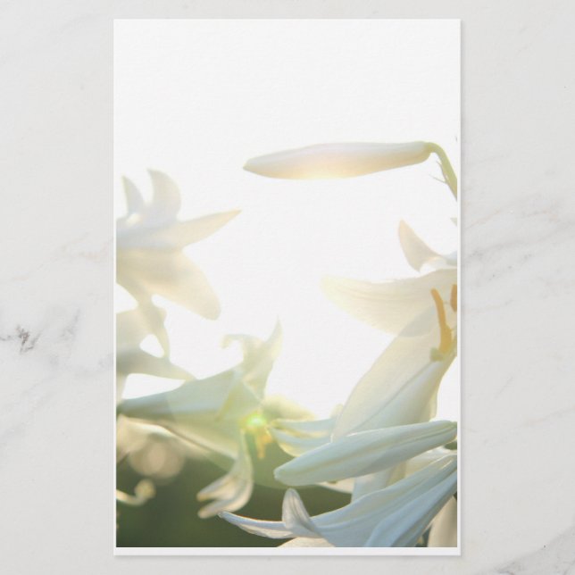 Morgen-Freude stationär Briefpapier (Vorderseite)