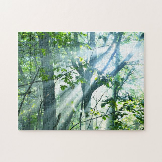 Morgen im Wald (Horizontal)