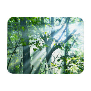 Morgen im Wald Magnet