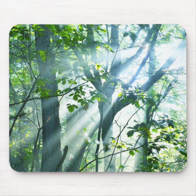 Morgen im Wald Mousepad (Vorne)